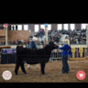 Meet your Posher, Clara